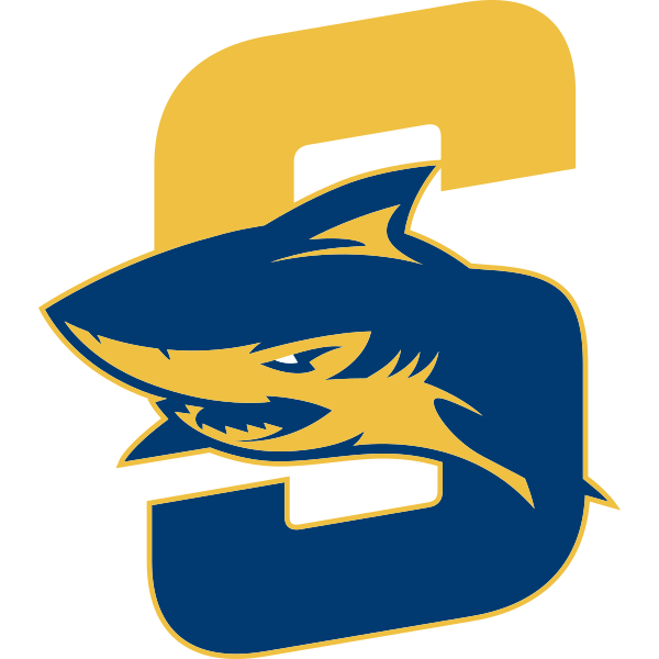 Simmons logo